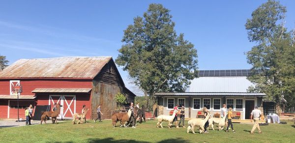 Walk And Roll, Fly And Float