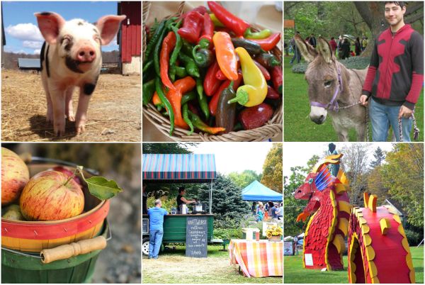 It's Harvest Time: Here Are 8 Ways To Enjoy It