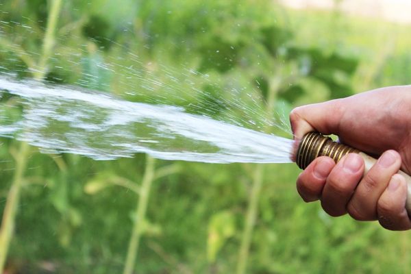Garden: Harvesting H2O