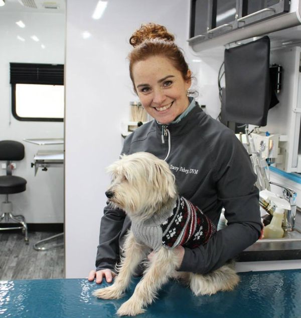 The Rural We: Tracey Fahey, DVM