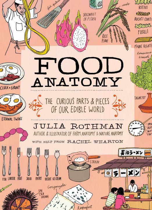 The Rural Storey: Food Anatomy