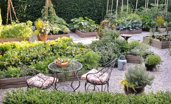 Garden: The Art Of Growing Food