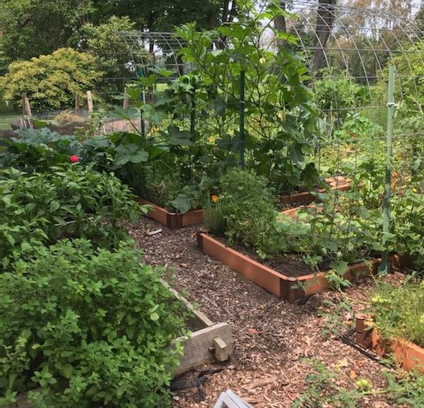 North Chatham Free Library Holds First-Ever Vegetable Garden Tour