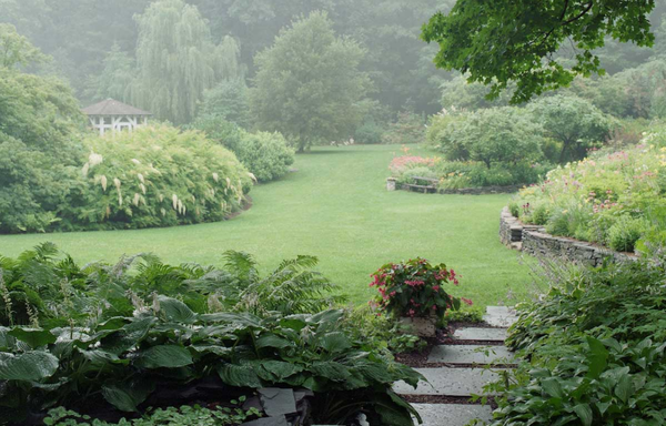 Gayle Burbank Landscapes