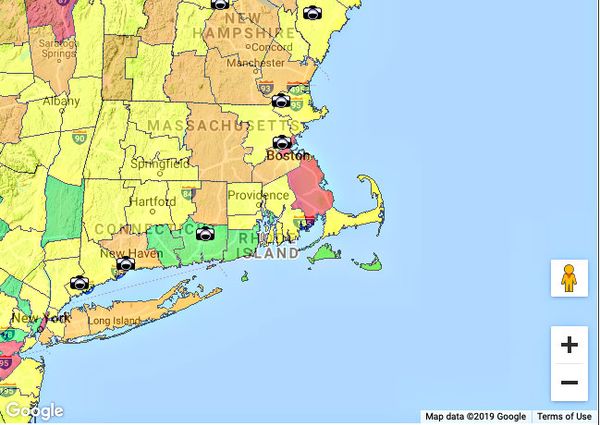 The Rural Intelligence Leaf-Peeper's Primer