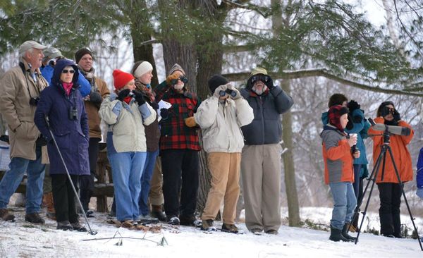 Rural Intelligence Outdoors: Birds and the Big Chill