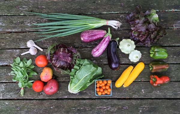 Know Your Farmer: Find Your CSA For 2023