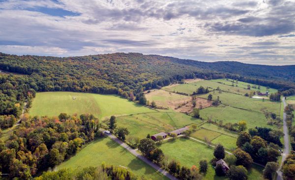 Picturesque And Profitable