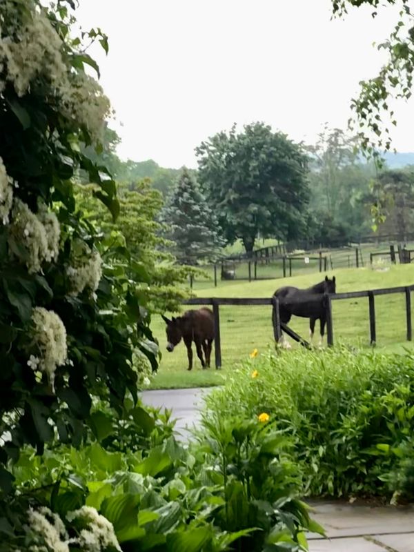 Whistlewood Farm B&B