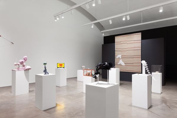 Hessel Museum of Art, Bard College