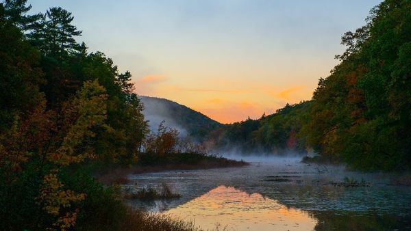 Summer Events Are In Full Bloom At Gardens And Estates