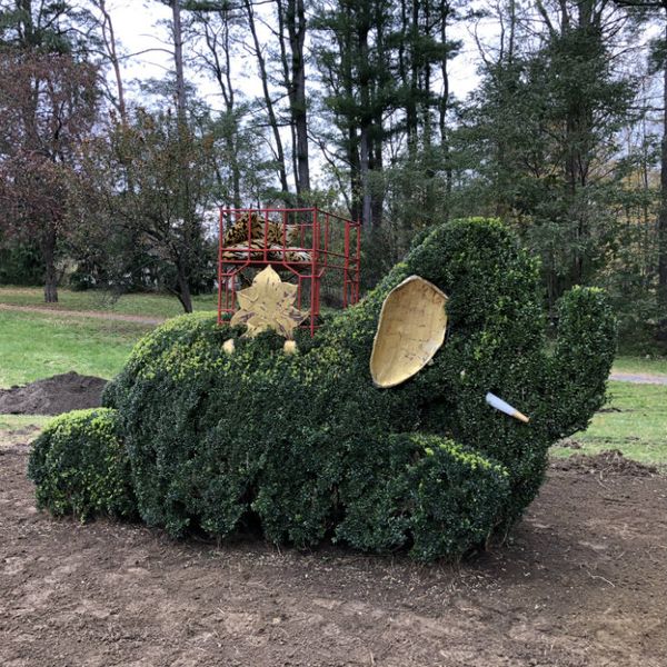 Berkshire Botanical Garden Grows with Gift of Topiary Collection