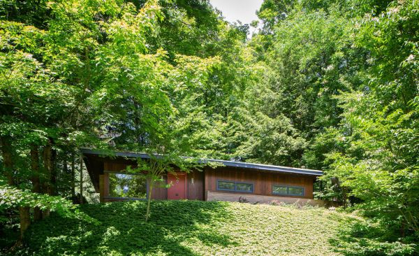 Mid-Century Masterpiece