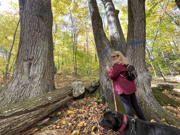 The Rural We: Lori Bradley