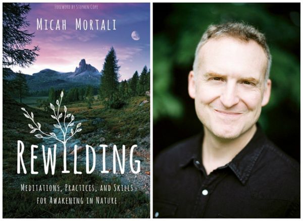 Get In A Relationship — With Nature (The Why And How-To)