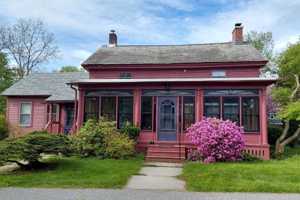 Wisteria In Williamstown
