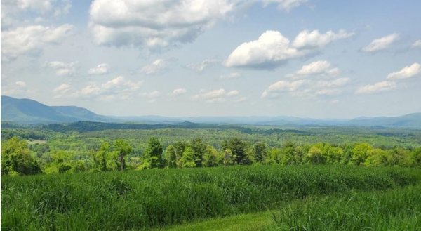 Nature Journaling with Nanci Worthington