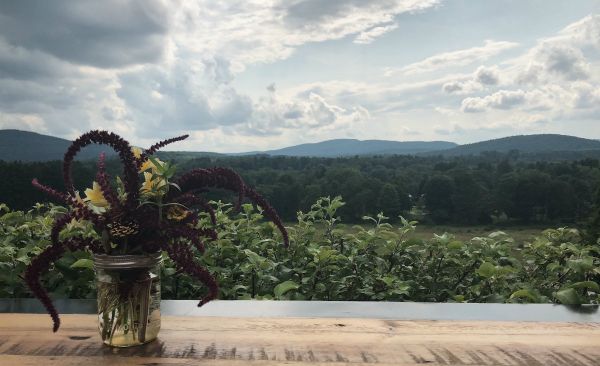 A Party for Rural Intelligence Supporters