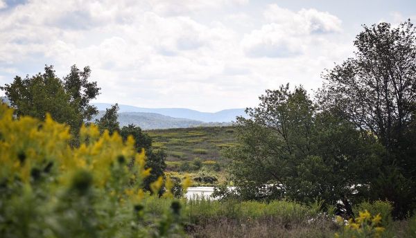 Hand-Picked Hikes: Favorite Trails From Those Who Know