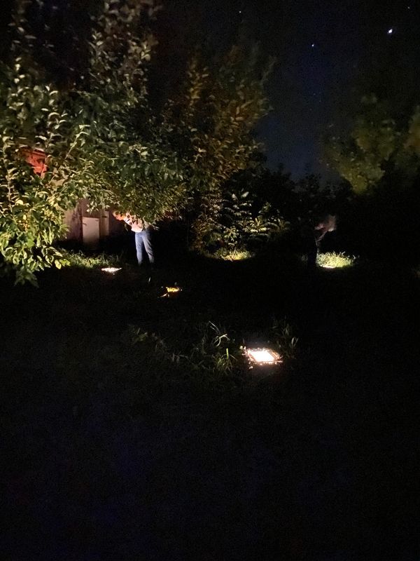 Re Institute: Together In Isolation