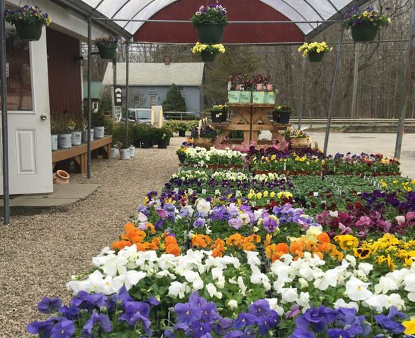 Spring Waits For No One: Garden Centers Are Up And Running