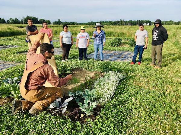 Farms Grow WithIn Red Hook Village To Cultivate Community