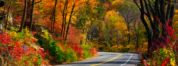 Scenic Drives In The Berkshires: For Peak Fall Foliage, Go Now!