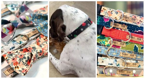 Teller Hill of Hyde Park: The Stylin' Way to take your dog on an eco-friendly walk