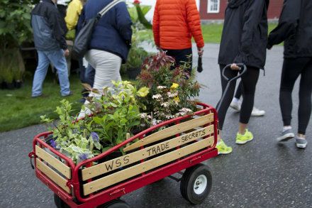 Trade Secrets 2019: A Visit With Friends Among the Flowers