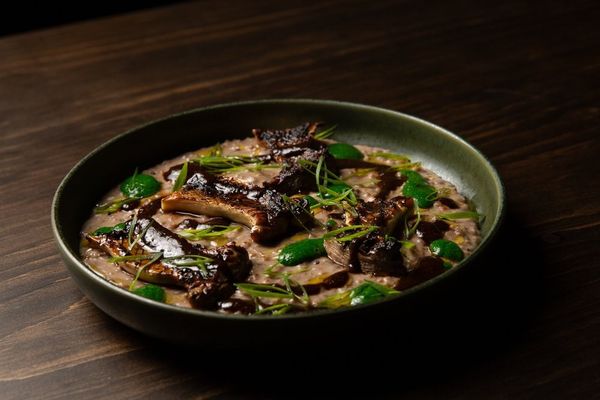 Willa Replaces 52 Main In Millerton With A Language Of Its Own