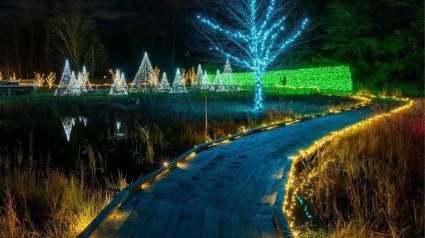 2025 Holiday Season Art and Events Guide