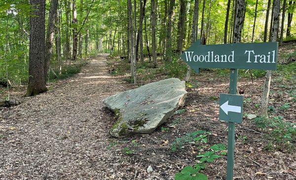 The (Sort Of) Good News About This Tick Season