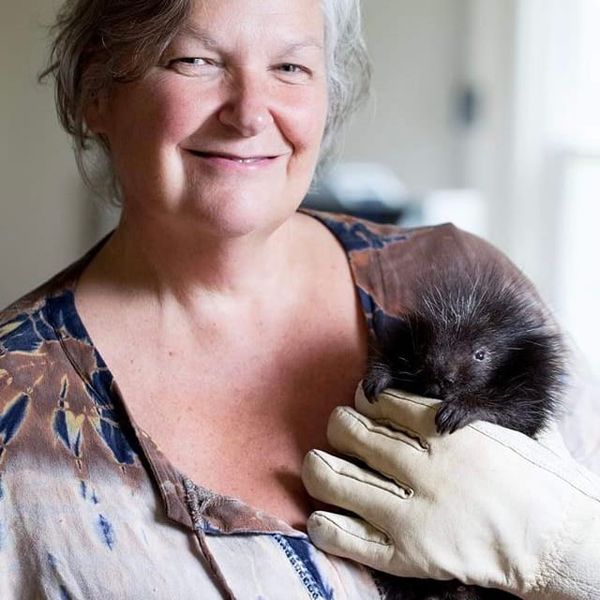 All About the North American Porcupine with Gerri Griswold