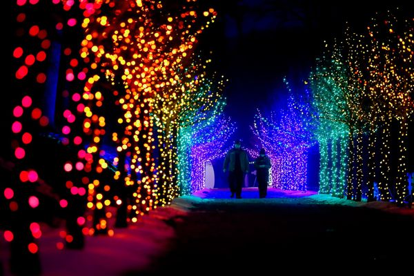 Kids Get in Free at Naumkeag's Winterlights