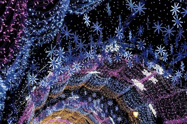 Wonderland of Lights at the Dutchess County Fairgrounds