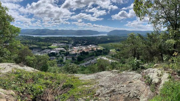 New Documentary Highlights Biodiversity in the Hudson Valley
