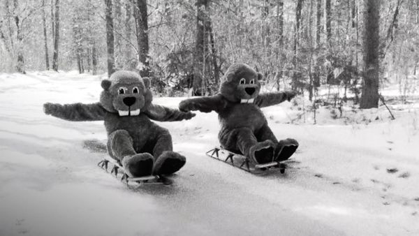Hundreds of Beavers at the Stissing Center