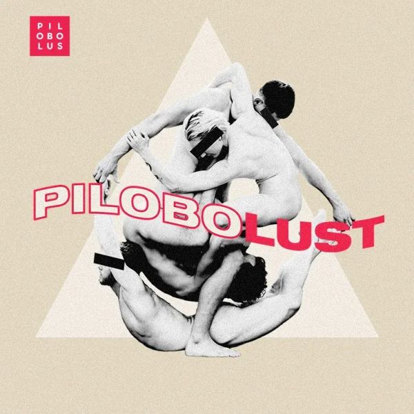 Pilobolust Makes Connecticut Debut in Ridgefield