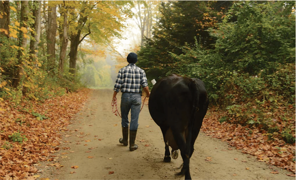 "Berkshires Farm Table Cookbook" Authors Bring New Edition and Dinner to Mass MoCA