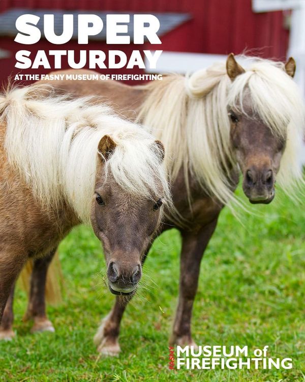 Mini Horses at the Firefighters Museum