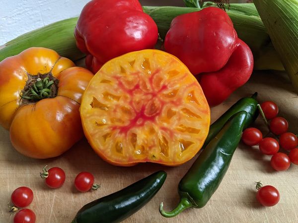 Get Your Hands on This Year's Hottest New Starter Plants at Hollister House Garden in Washington