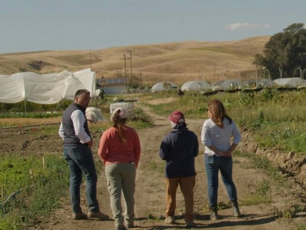 "Fork in the Road": Mary Berry, Nick Offerman, and Veteran "Chopped" Producer Expose a Food System in Peril at BIFF