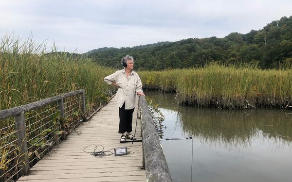 Help Experimental Musician Annea Lockwood Listen to the Land at PS21