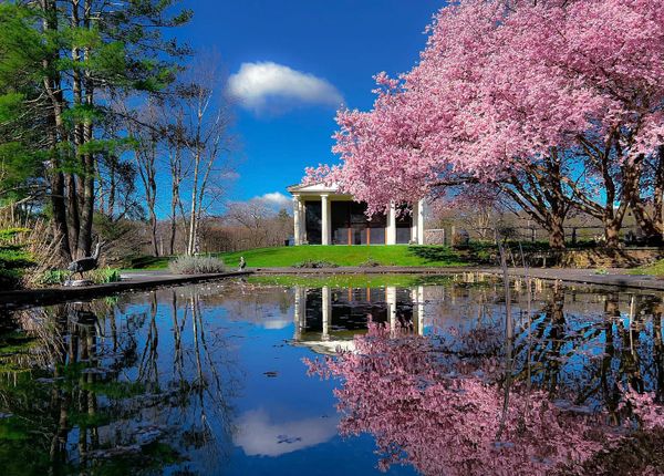 Meadow Wood: A Garden Club of America Award-Winning Estate in Great Barrington