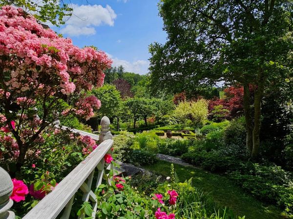 Mother's Day at Hollister House Garden