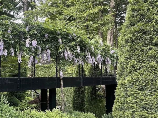 Books & Blooms Garden Weekend Returns to Cornwall