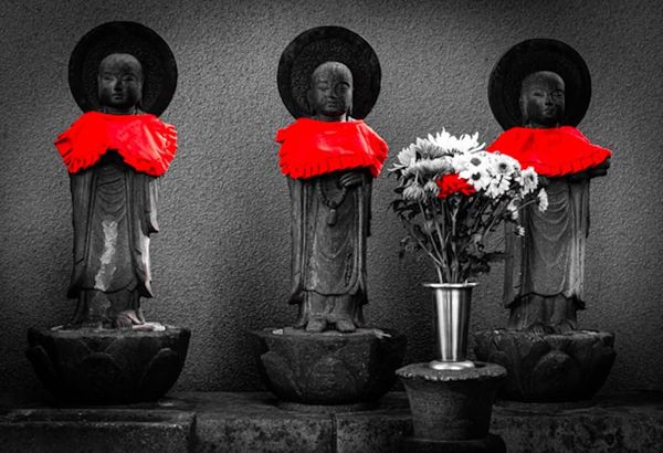 "Japan 2026": Photographs by Tony Gomez at the Sherman Library