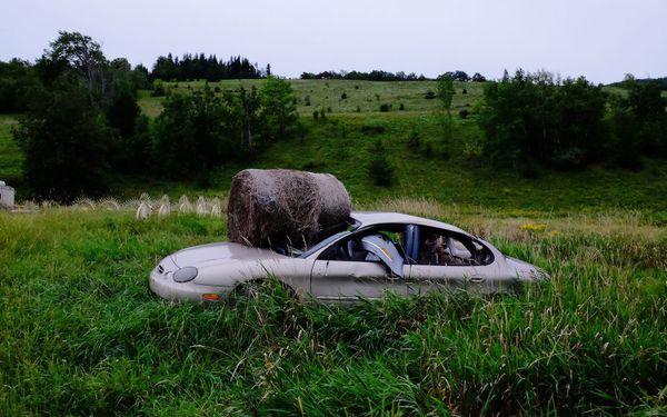 This Summer's Art Season asks More Questions Than it Answers