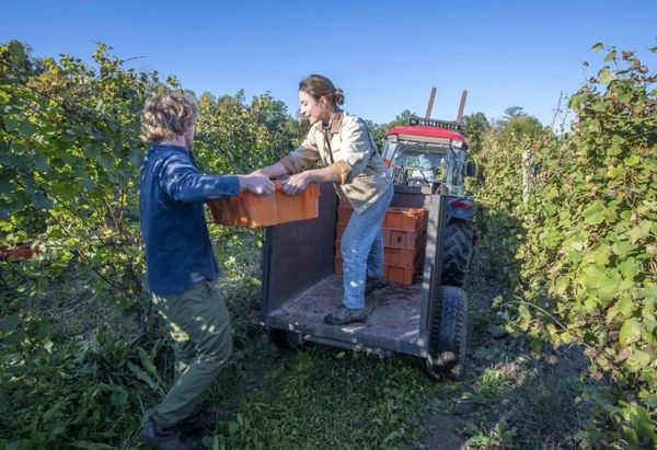 Atlantis Wine Fair Celebrates the New Wave of New York Wine