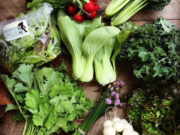 Williamstown Farms Open Their Gates on Sunday
